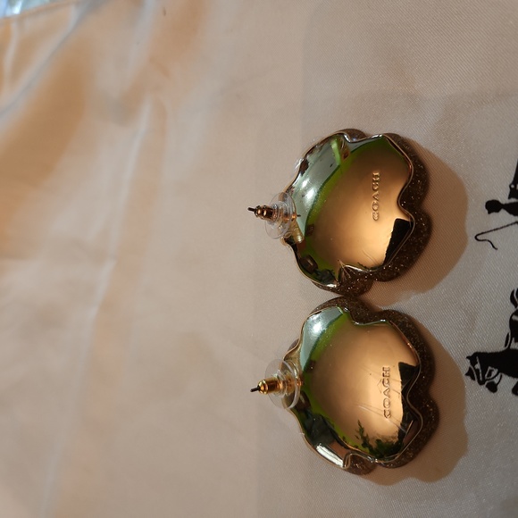 Earrings - Picture 4 of 7